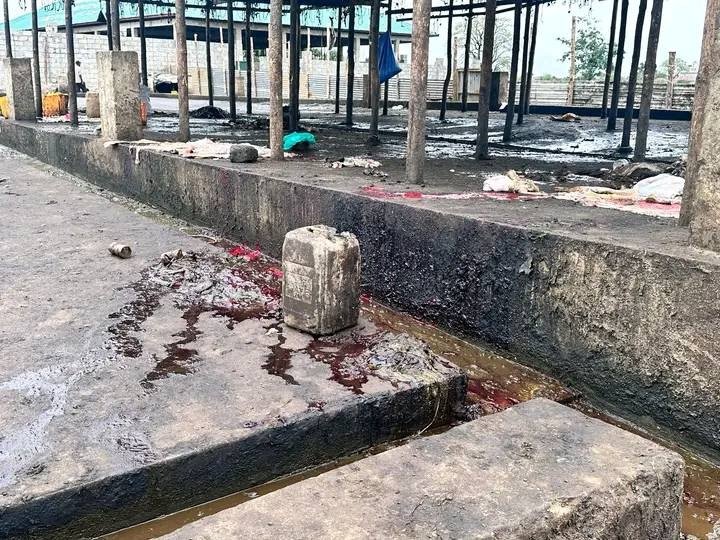 CES Official Orders Suspension of Filthy Rajaf Slaughterhouses CES Official Orders Suspension of Filthy Rajaf Slaughterhouses