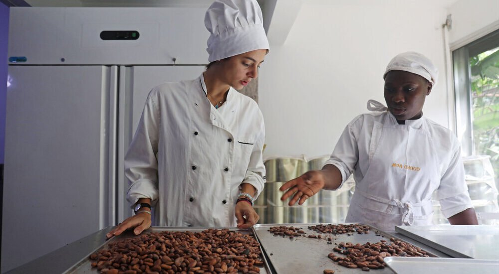 U.S. Tariffs Hurt African Cocoa Producers