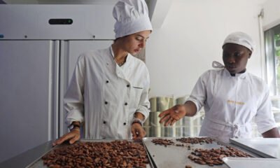 U.S. Tariffs Hurt African Cocoa Producers