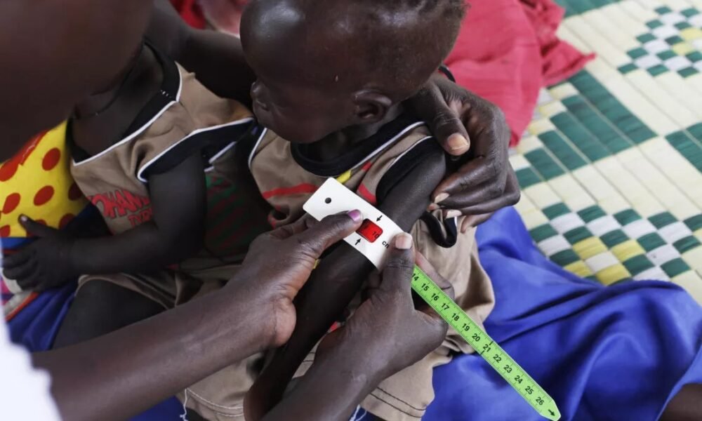 60,000 children at risk of starvation in Upper Nile due to fighting disrupting aid supply routes: UN