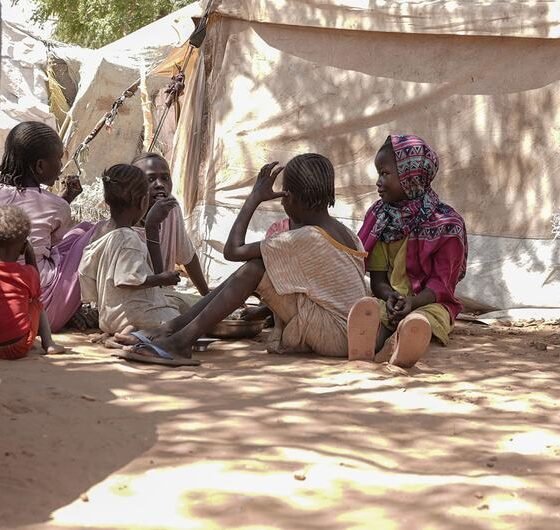 El Fasher Under Siege: RSF Shelling Worsens Humanitarian Crisis