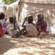 El Fasher Under Siege: RSF Shelling Worsens Humanitarian Crisis