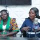 Government urged to prioritize maternal and newborn health.