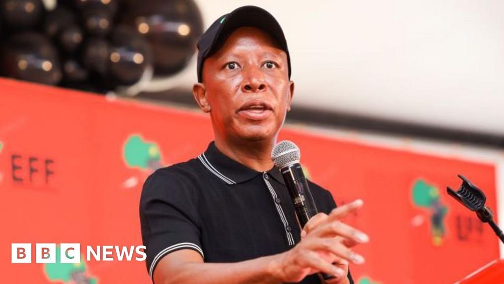 South Africa’s Julius Malema criticizes UK after visa denial South Africa’s Julius Malema criticizes UK after visa denial
