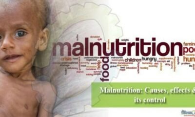 WHO: South Sudan’s Silent Killer—Acute Malnutrition